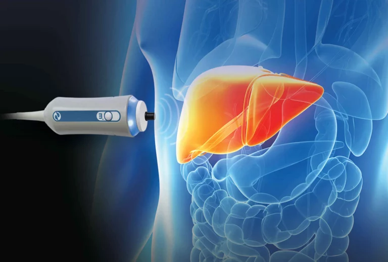 A medical device is held against a person's abdomen, with a digital illustration highlighting the liver and digestive organs inside the body.